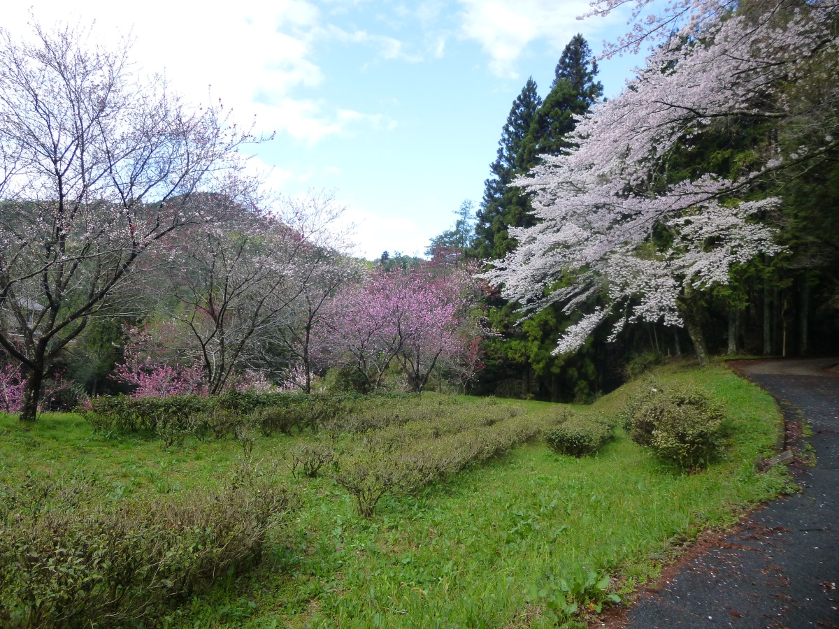 Self Guided Walking on the Nakasendo Trail with Oku Japan